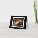 Search for funny kitty image cards Kitties