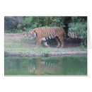 Search for indian art postcards Tiger