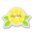 Search for fruit slice stickers Trendy