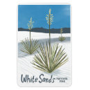 Search for yucca Nature