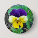 Search for pansy badges Purple