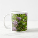 Search for lilac flower mugs Syringa