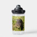 Search for lizard water bottles Reptile