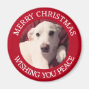Search for merry christmas magnets White