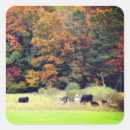 Search for fall foliage stickers Nature