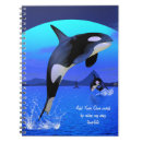 Search for orca notebooks Sea