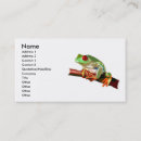 Search for tree frog business cards Frogs