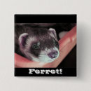 Search for weasels badges Pets