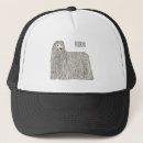 Search for mopping hats Dog
