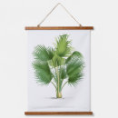 Search for palm frond art Illustration