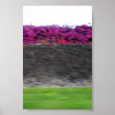 Search for kona posters Tropical