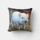 Search for cow cushions Country life