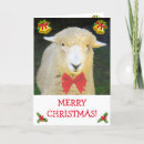 Search for sheep christmas cards Ewe