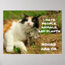 Search for internet meme posters Kitty