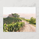 Search for vineyard postcards Landscape