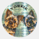 Search for parti yorkie stickers For pets