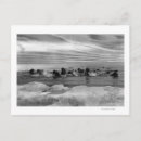 Search for bering postcards Ice
