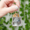 Search for young bird key rings Animal wildlife