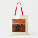 Search for steppe accessories Sunset