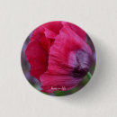 Search for pink poppies badges Flower
