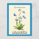 Search for vintage alaska postcards Retro