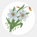 Search for narcissus stickers White