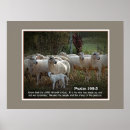 Search for know peace art Psalm