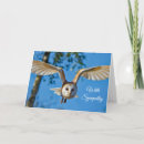 Search for alba cards Barn owl