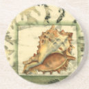 Search for conch coasters Beach