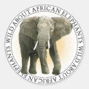 Search for african elephant stickers Wild animals