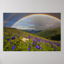 Search for double rainbow posters Landscape