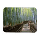 Search for bamboo forest Japan
