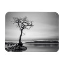 Search for lochness magnets Loch lomond