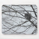 Search for squirrel in a tree mouse mats Trees