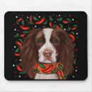 Search for springers mouse mats English springer spaniel