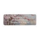 Search for cherry tree return address labels Sakura