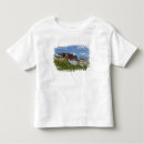 Search for hilltop tshirts Asia