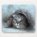 Search for peek a mouse mats Feline