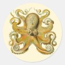 Search for steampunk octopus stickers Marine life