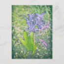 Search for blue bell flower postcards Floral