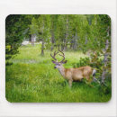 Search for mule electronics Buck