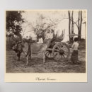 Search for oxen posters 19th