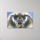 Search for compound art Insect