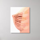 Search for female anatomy canvas prints Vertical