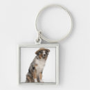 Search for australian shepherd key rings Animal