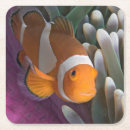 Search for clown barware Anemone