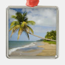 Search for coconut christmas tree decorations Landscape
