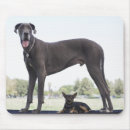 Search for mixed breed mouse mats Horizontal