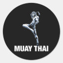 Search for thai boxing stickers Knockout workout routine