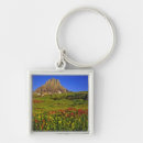 Search for logan key rings Montana